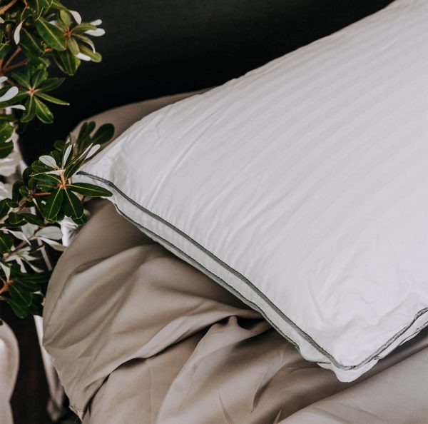Moodmaker Superior Australian Alpaca Pillow
